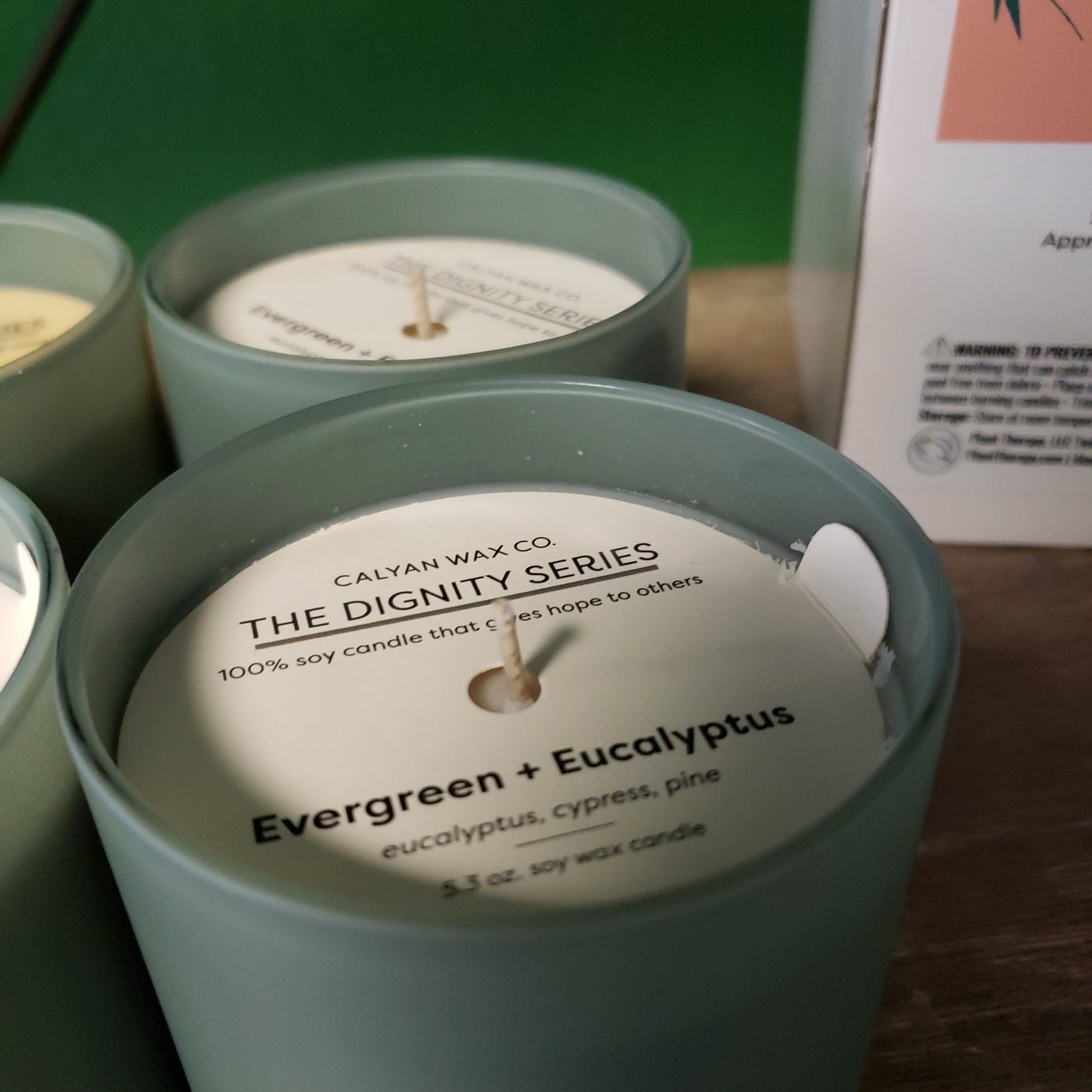 Soy Candle- Calyan- Fall Sale