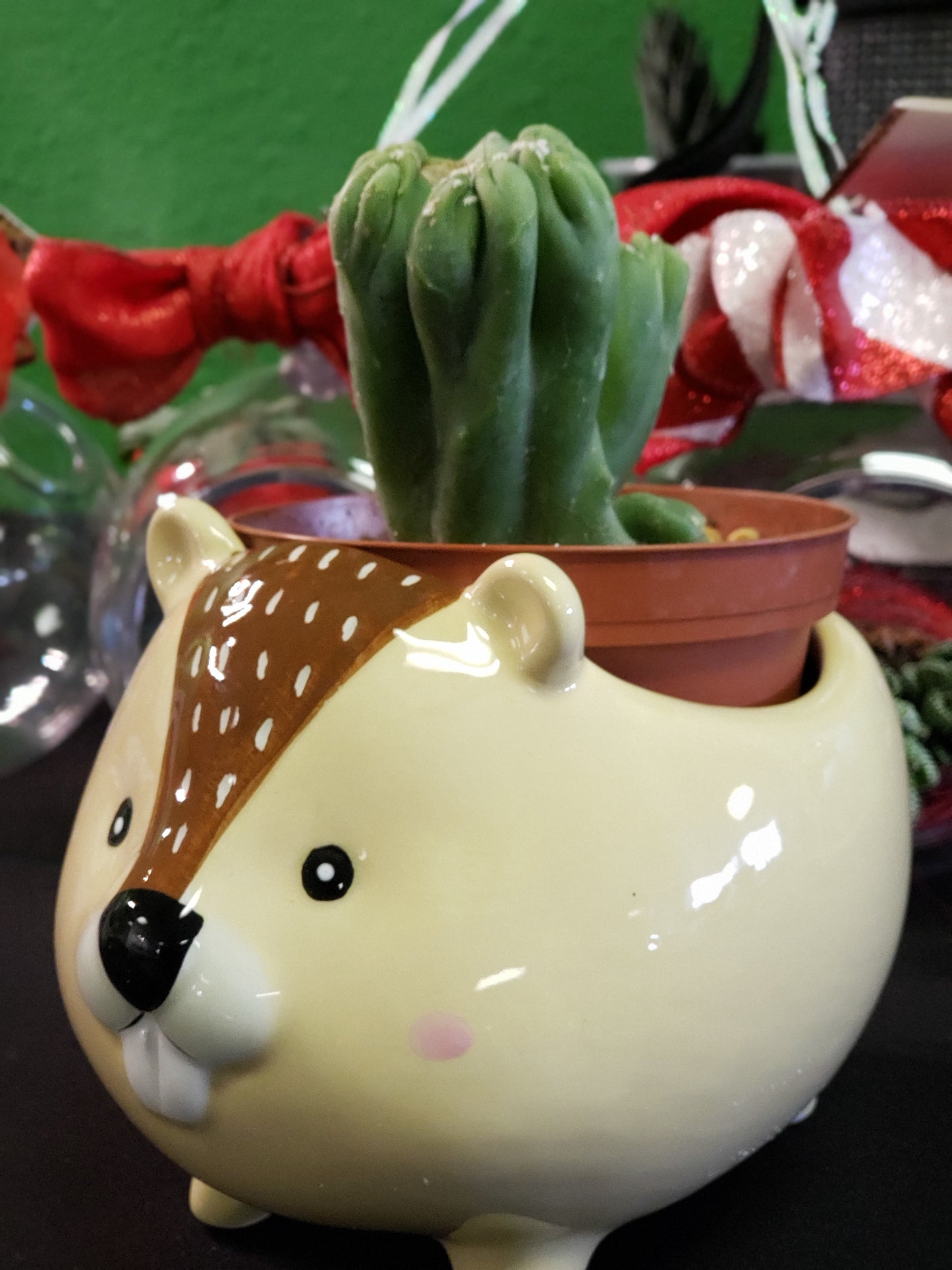 Streamline Imagined Beaver Planter