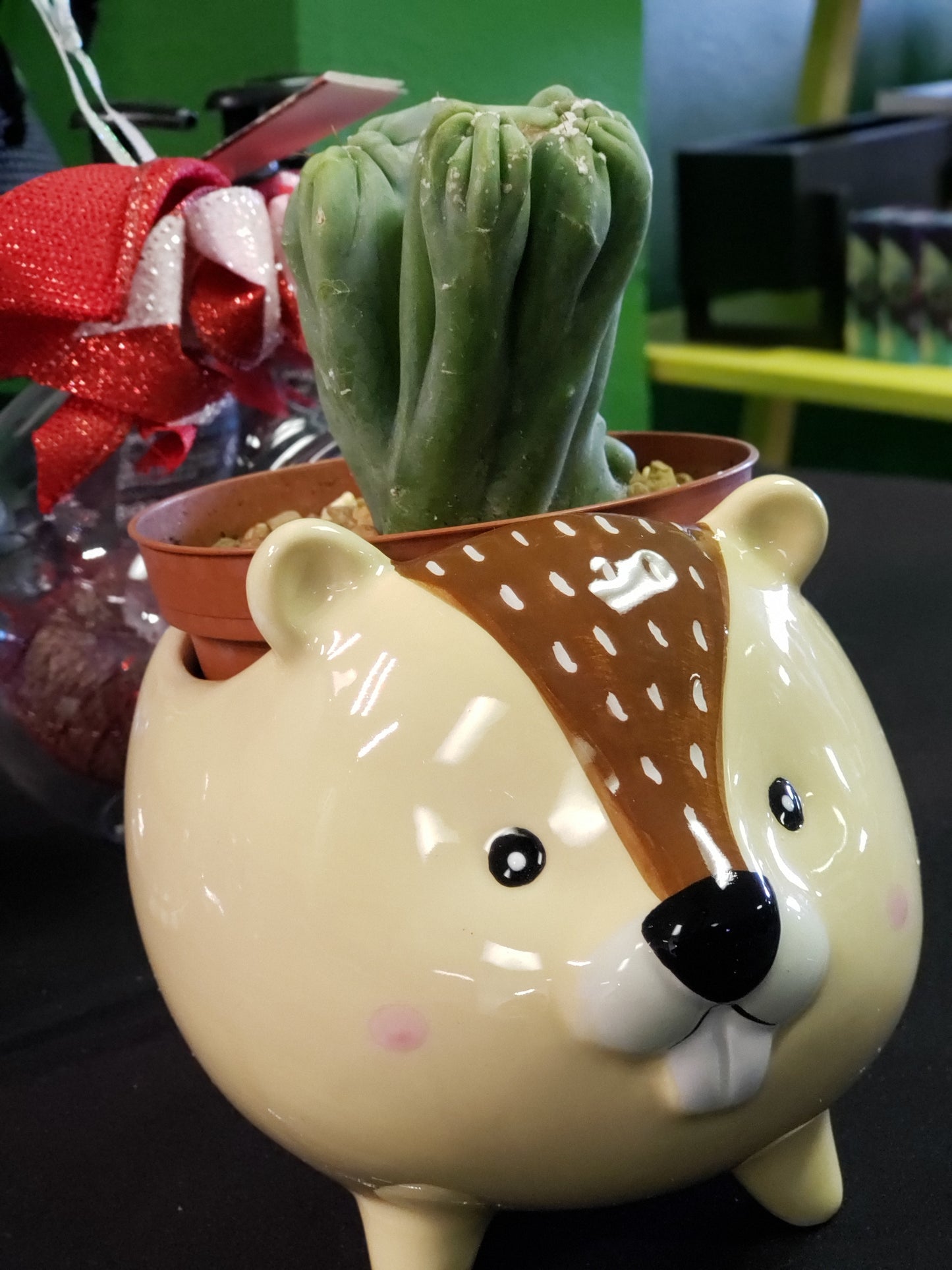 Streamline Imagined Beaver Planter