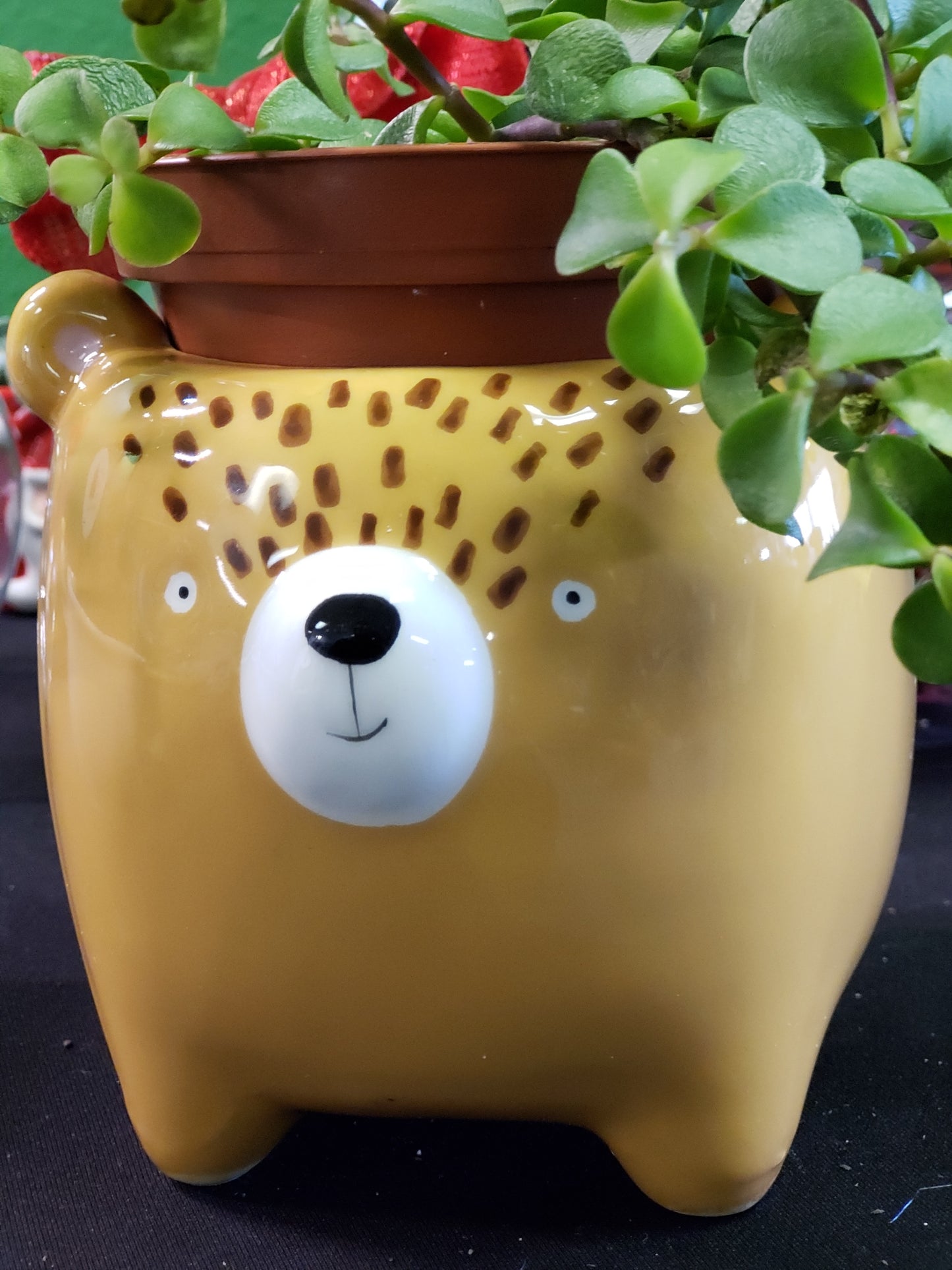 Streamline Imagined Bear Planter