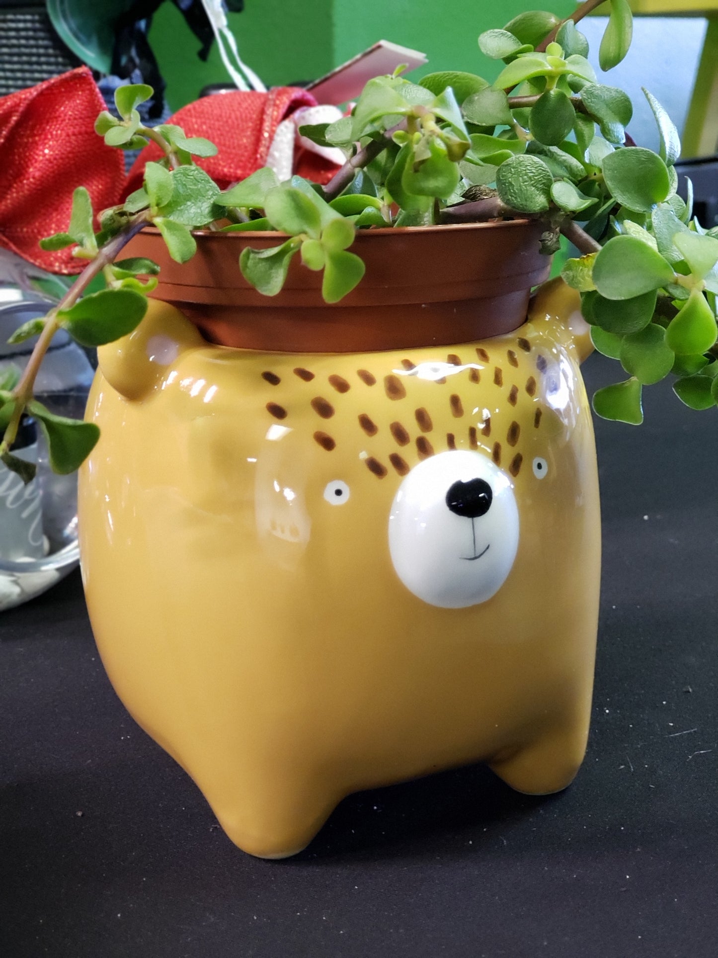 Streamline Imagined Bear Planter