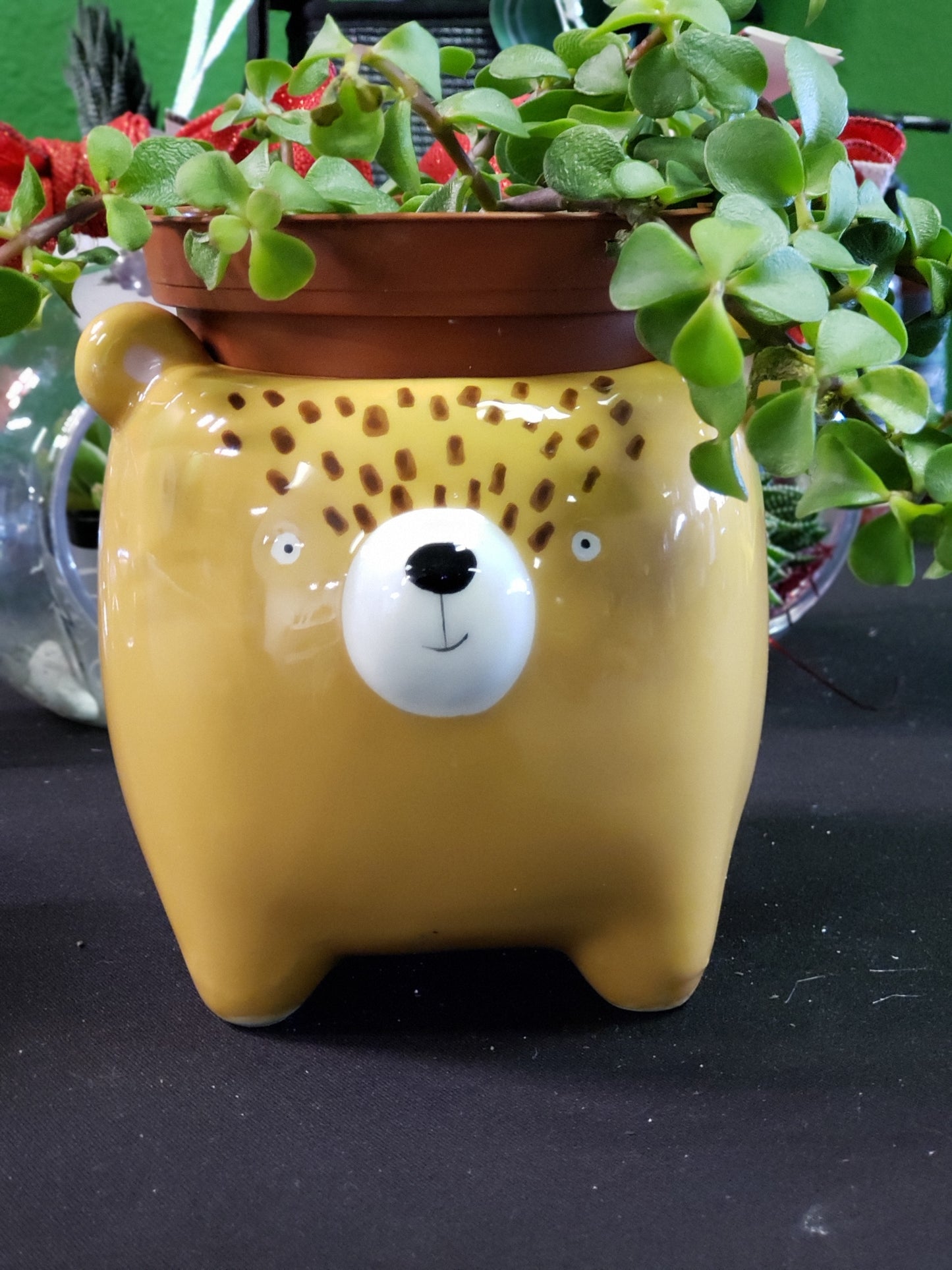 Streamline Imagined Bear Planter