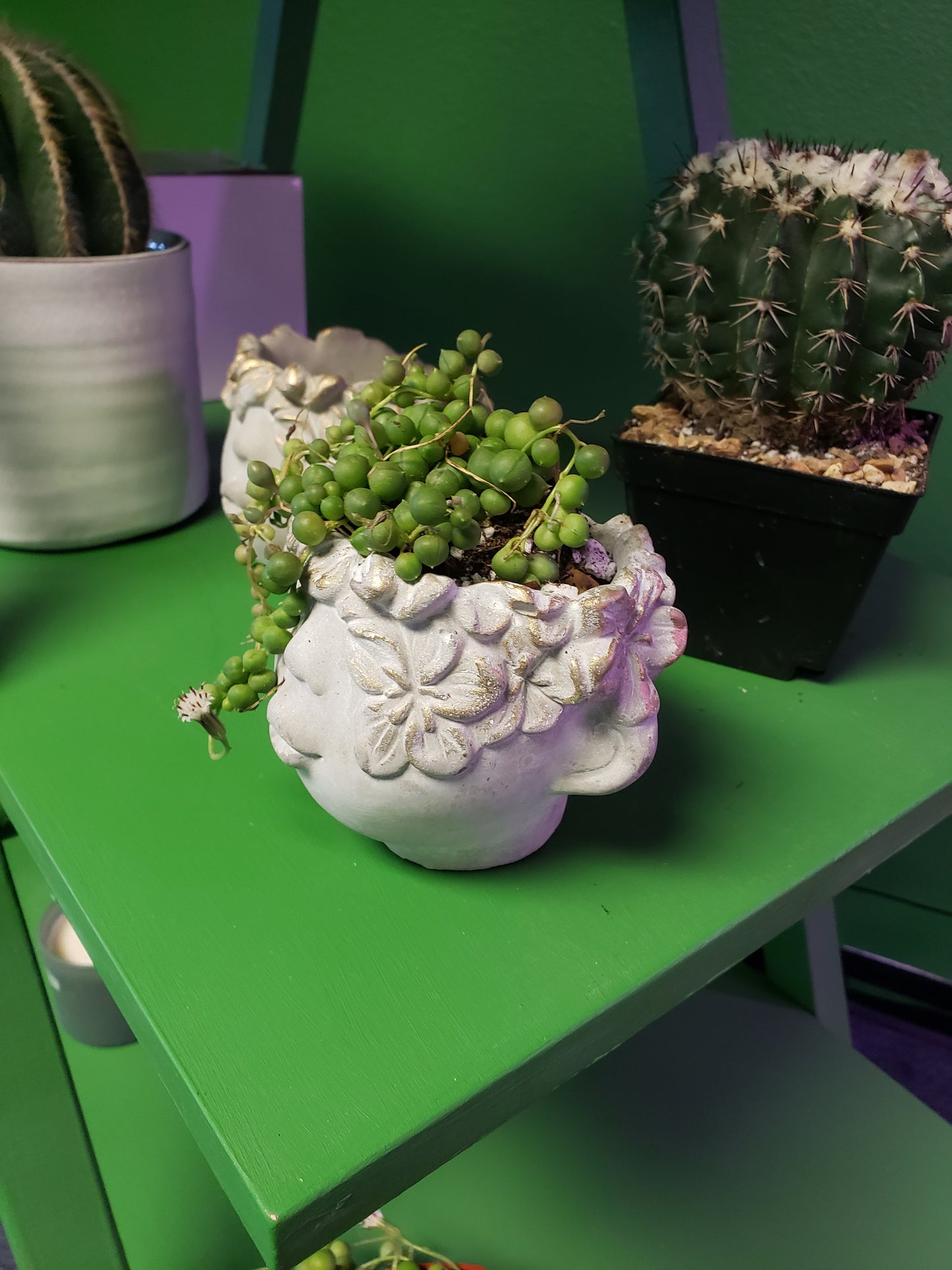 Concrete Face Plant Pot