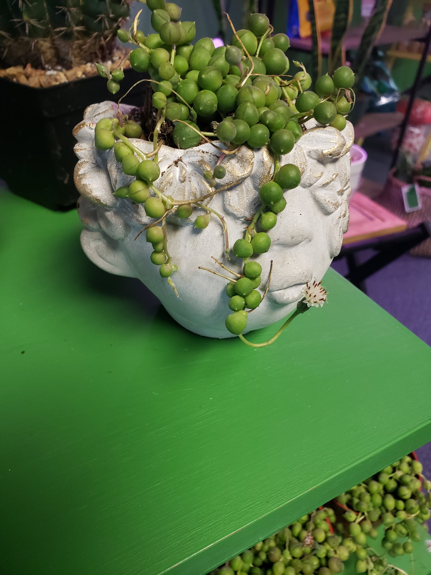 Concrete Face Plant Pot