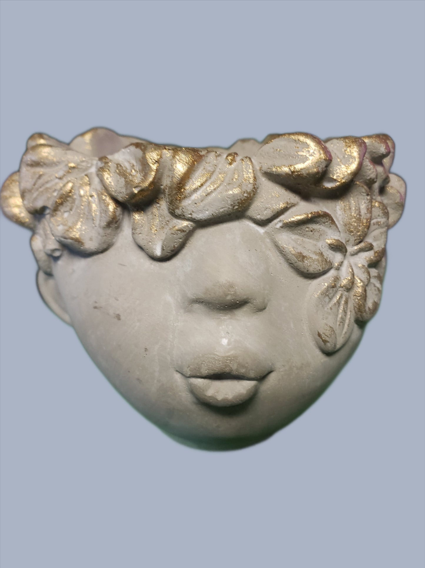 Concrete Face Plant Pot
