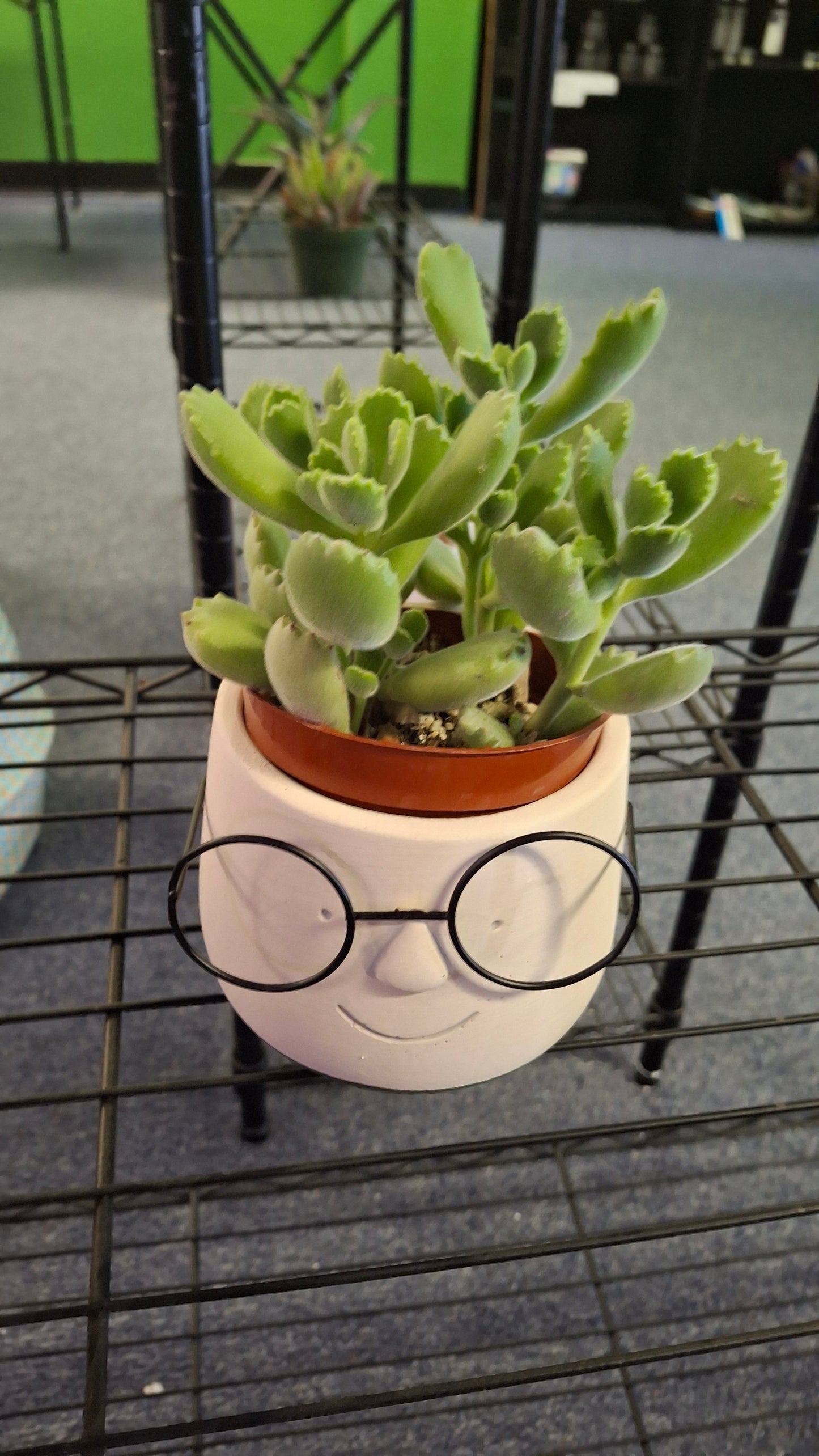 Poindexter Plant Pot