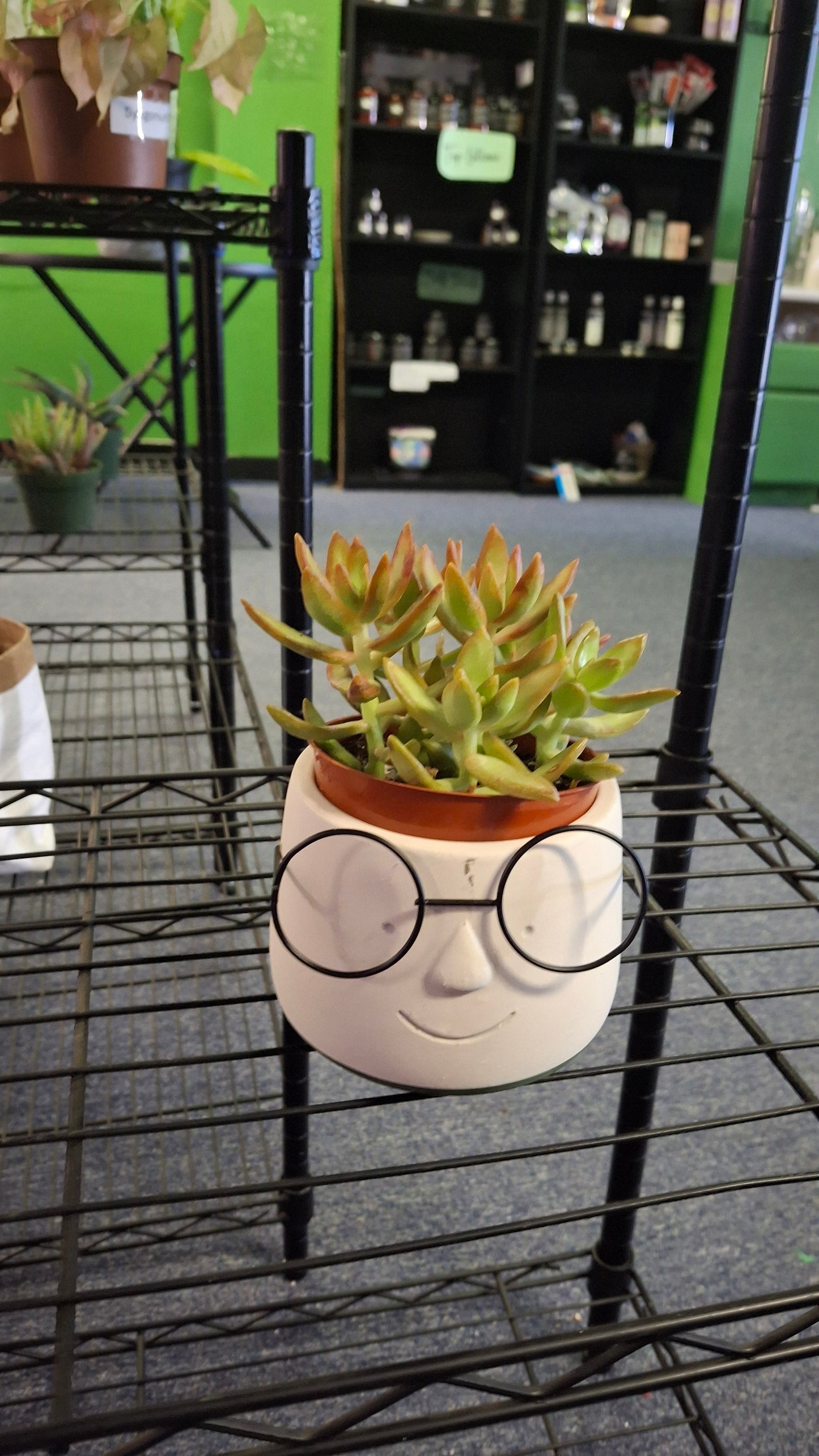 Poindexter Plant Pot