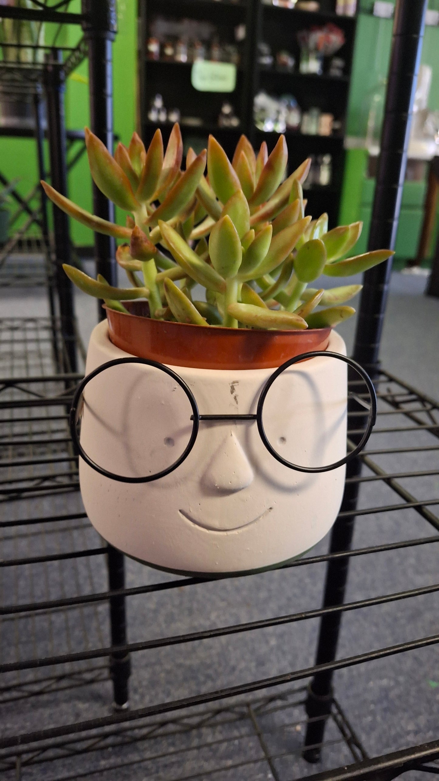 Poindexter Plant Pot