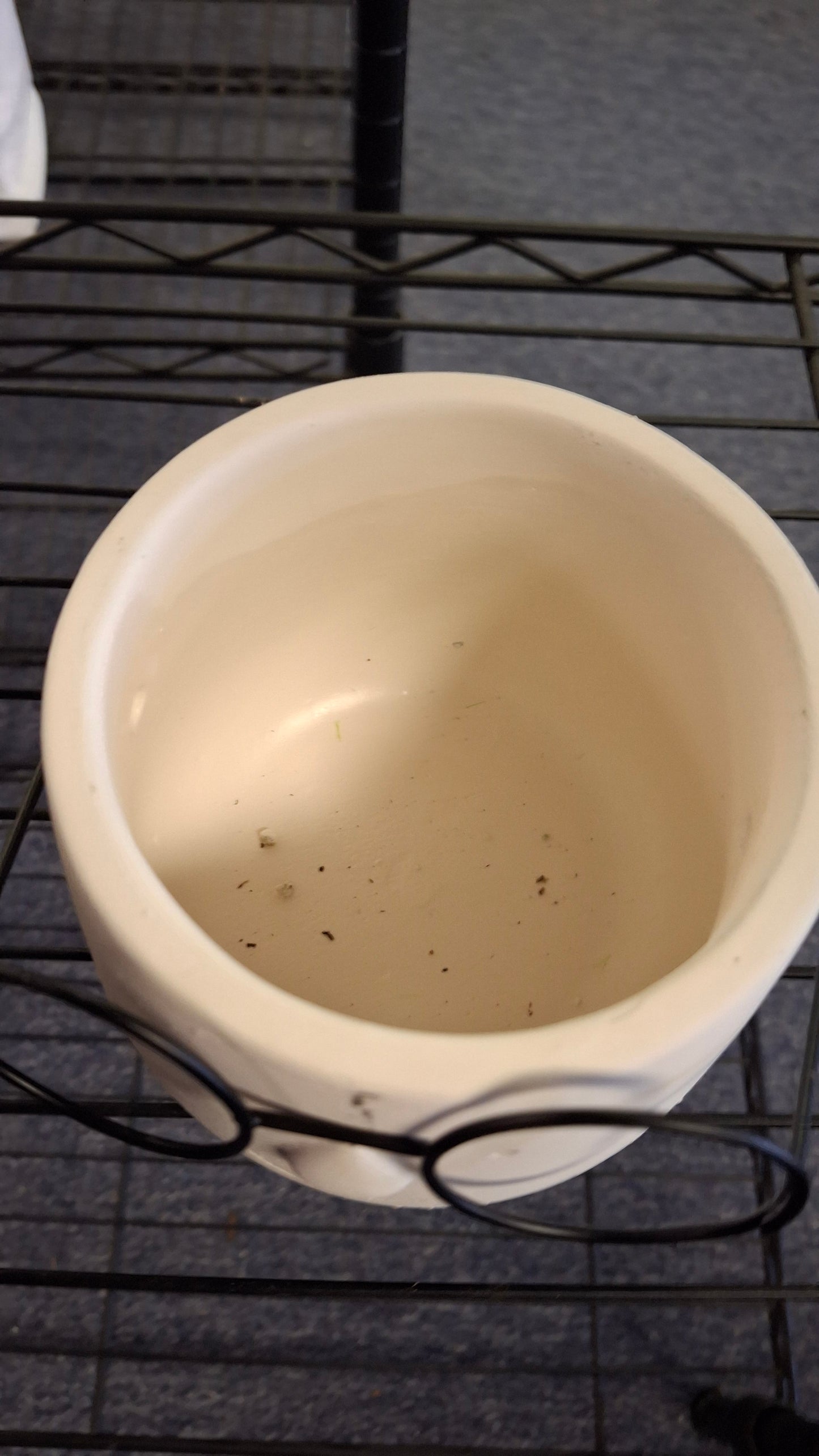 Poindexter Plant Pot