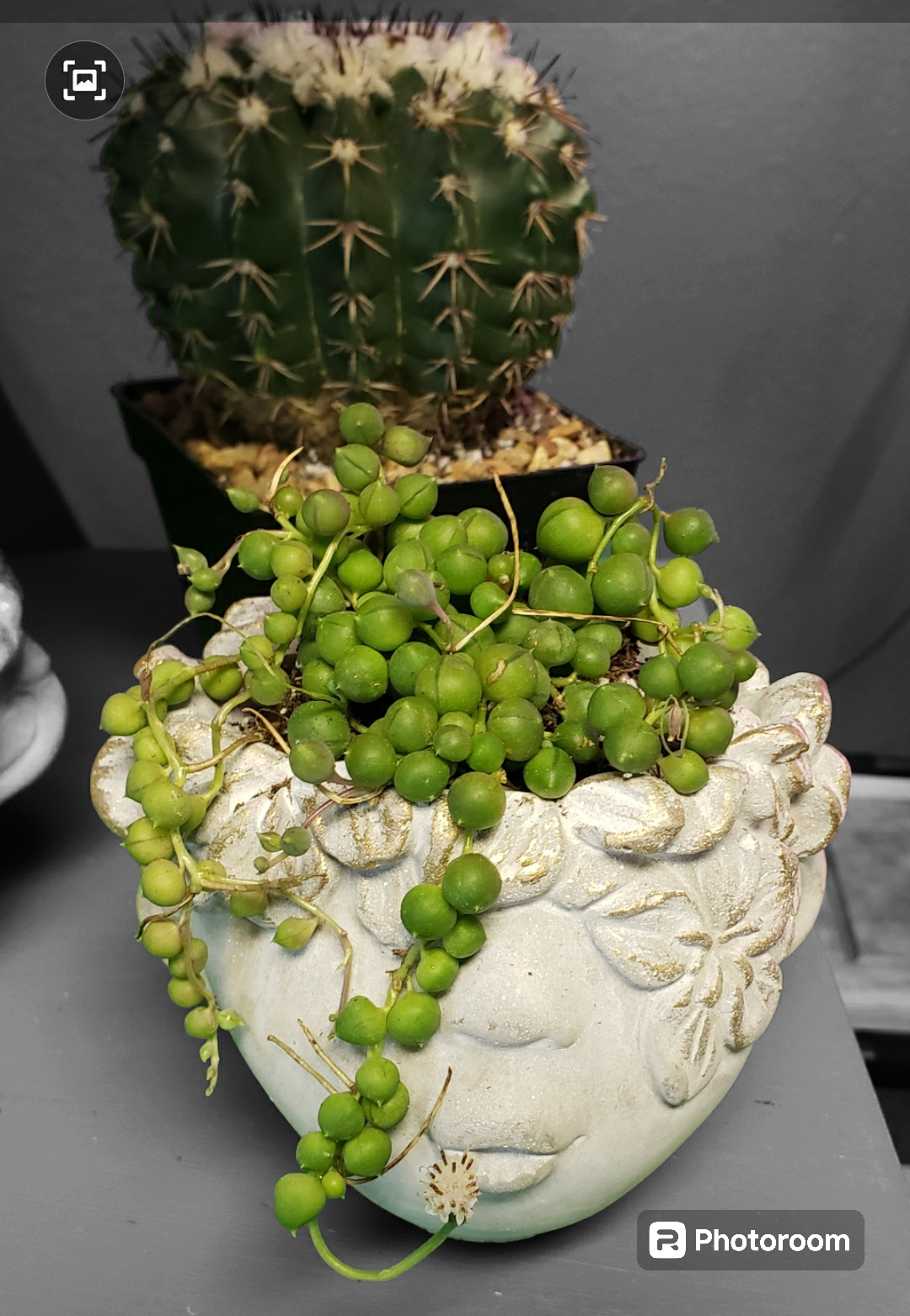 Concrete Face Plant Pot