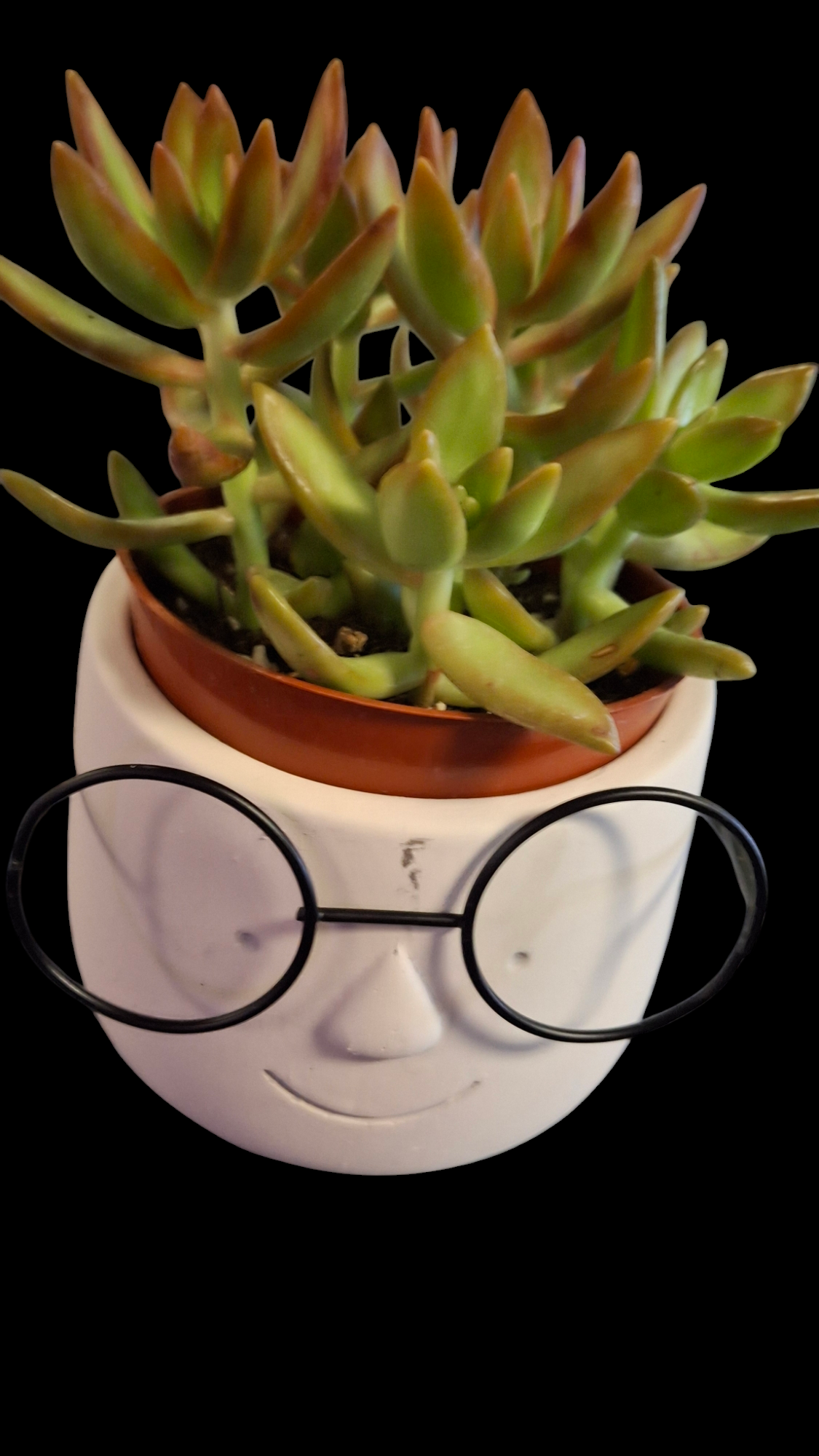 Poindexter Plant Pot