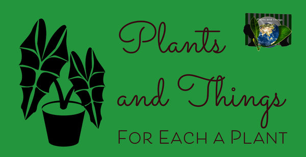 Plants and Things LLC