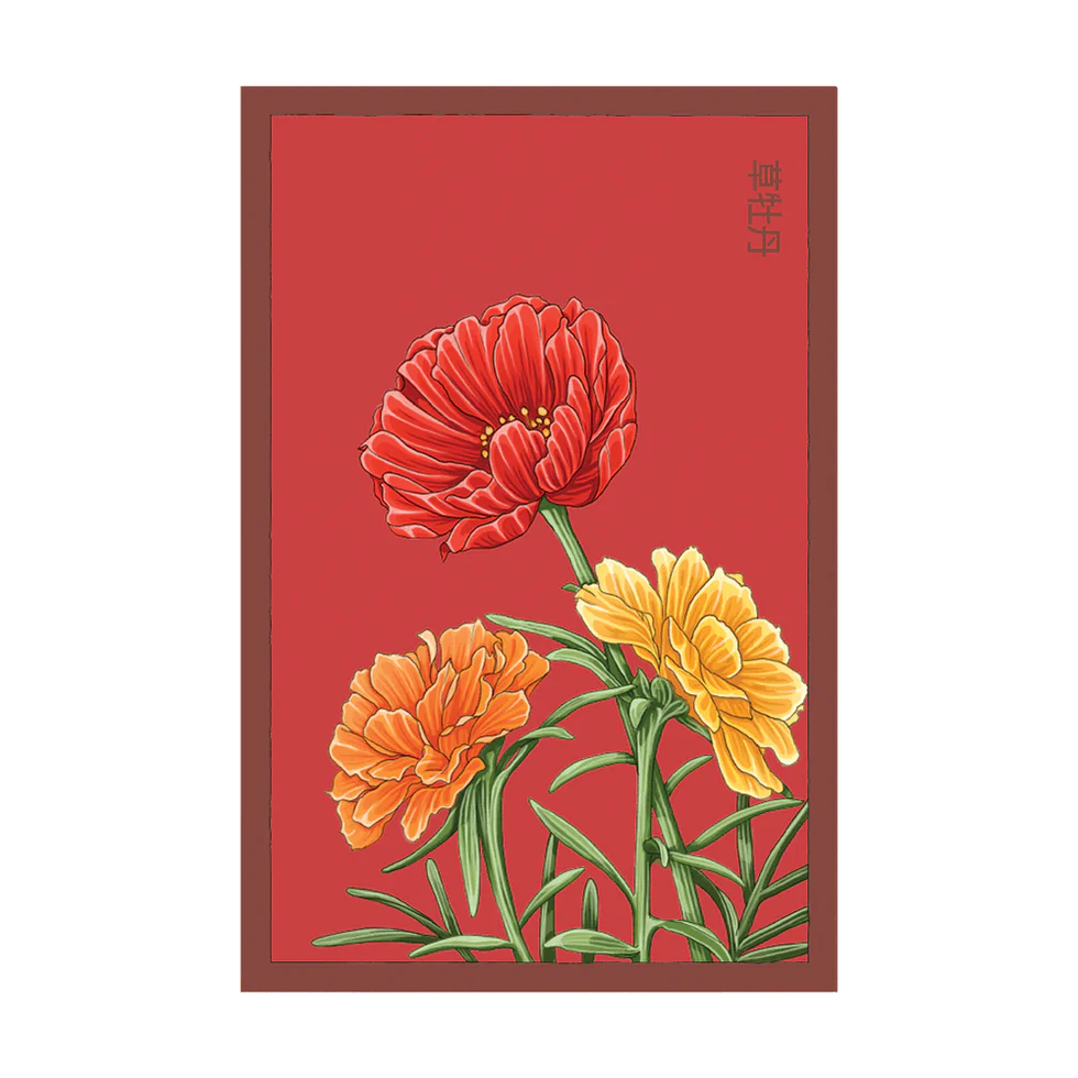 peony from seed to flower Herbaceous Peony Flower Seeds