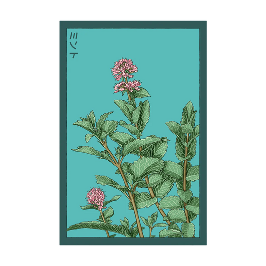 Herb Mint- Shido Seed Co
