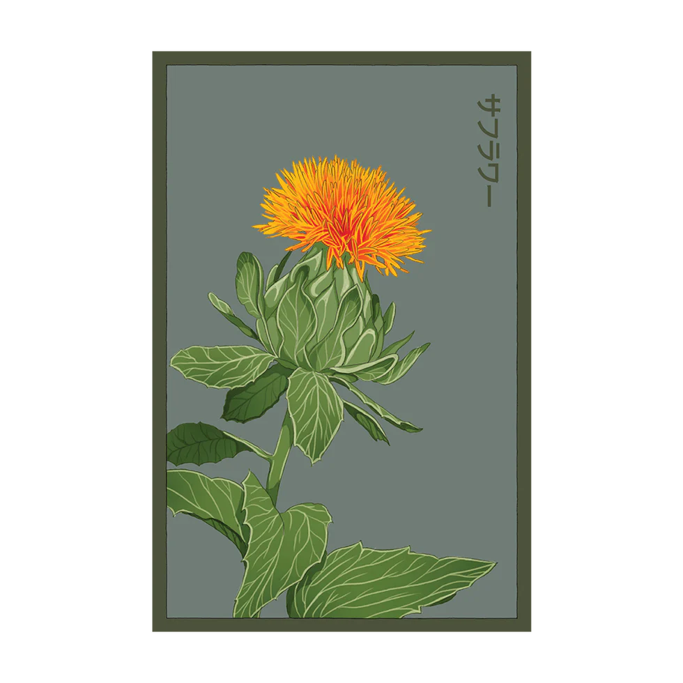 Flowers Safflower Seeds- Shido Seed Co