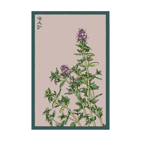 Herb Thyme- Shido Seed Co