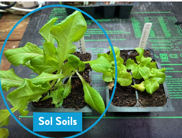Seedling & Propagation Mix (Large Gallons Only to Start)