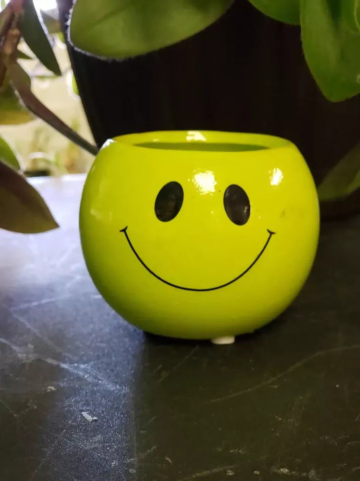 smiley 3