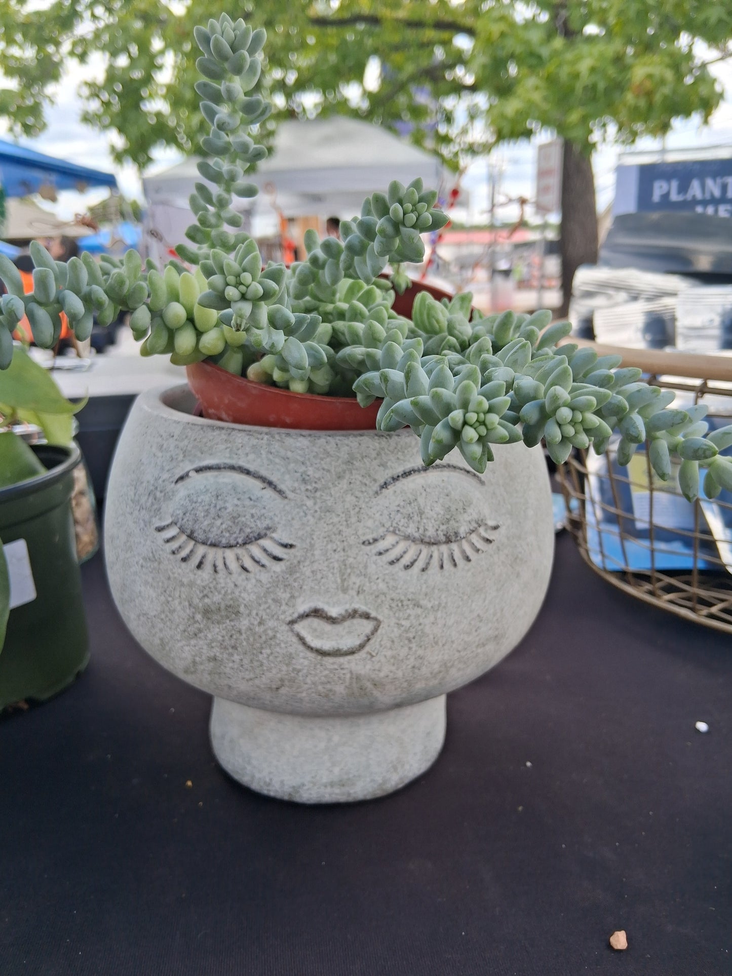 Concrete Face Plant Pot