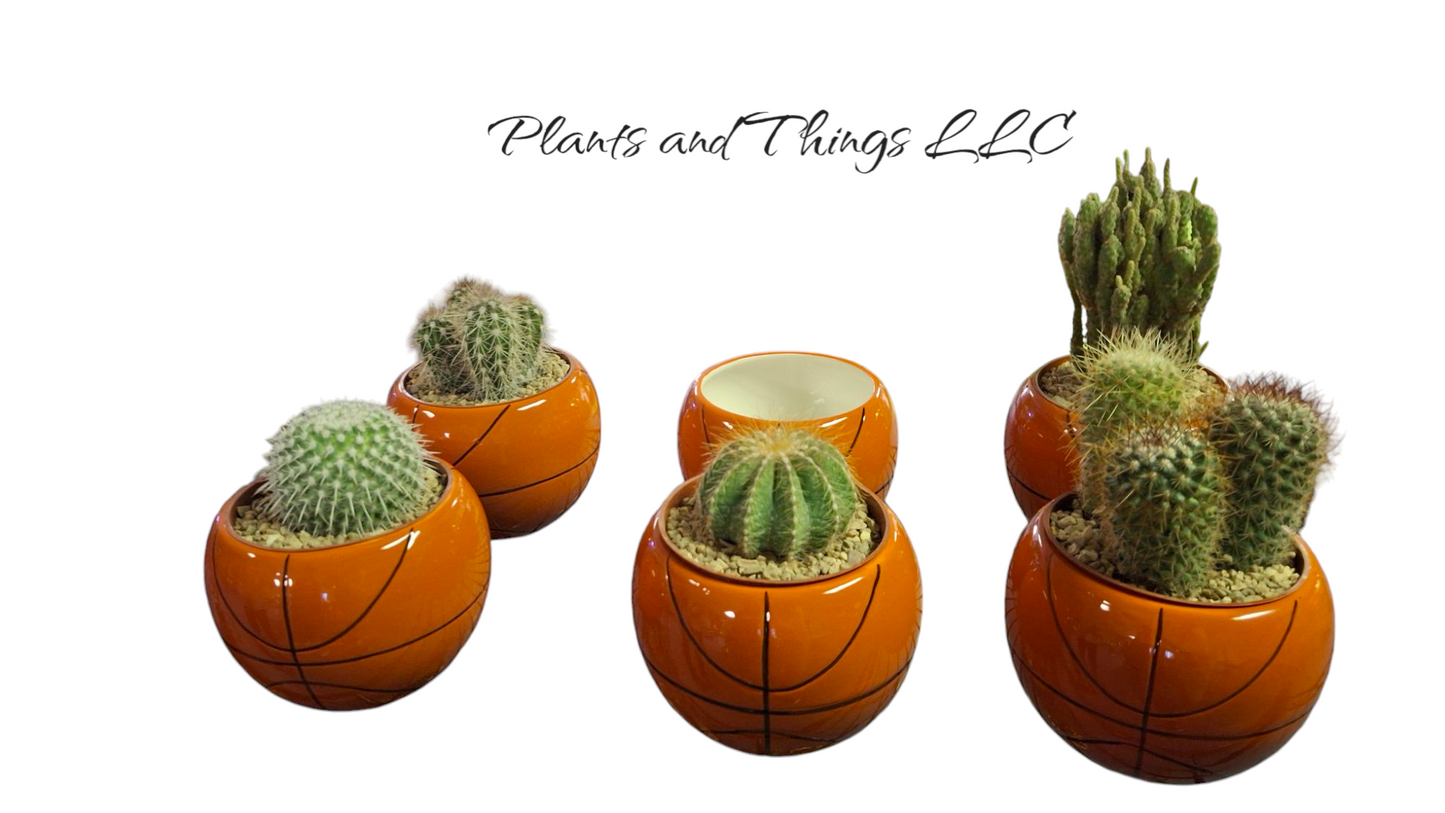 Basketball Planter- New!