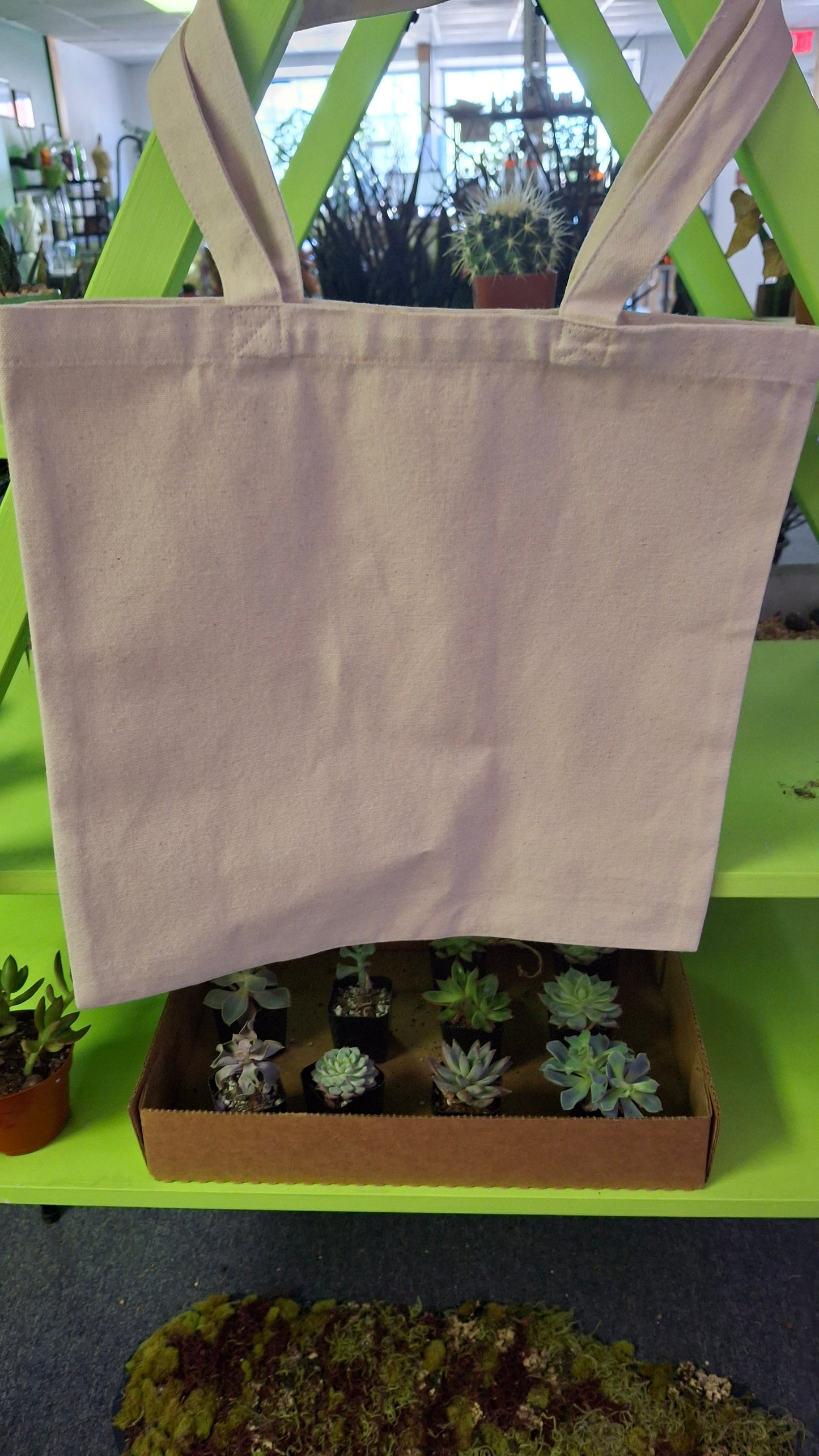Plant Parent Tote