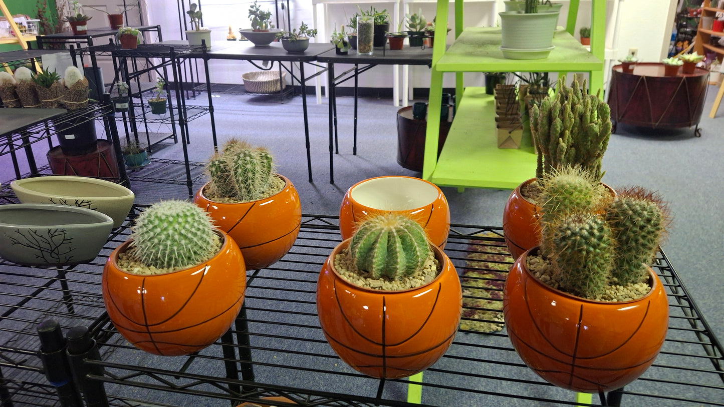 Basketball Planter- New!