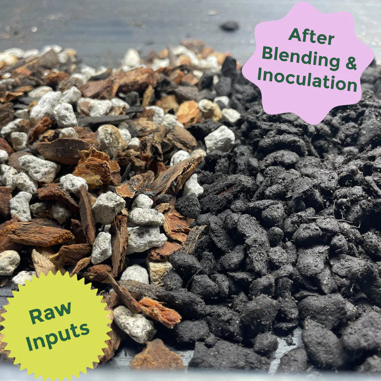succulent soil blend Rosy Soil Cactus & Succulent Blend