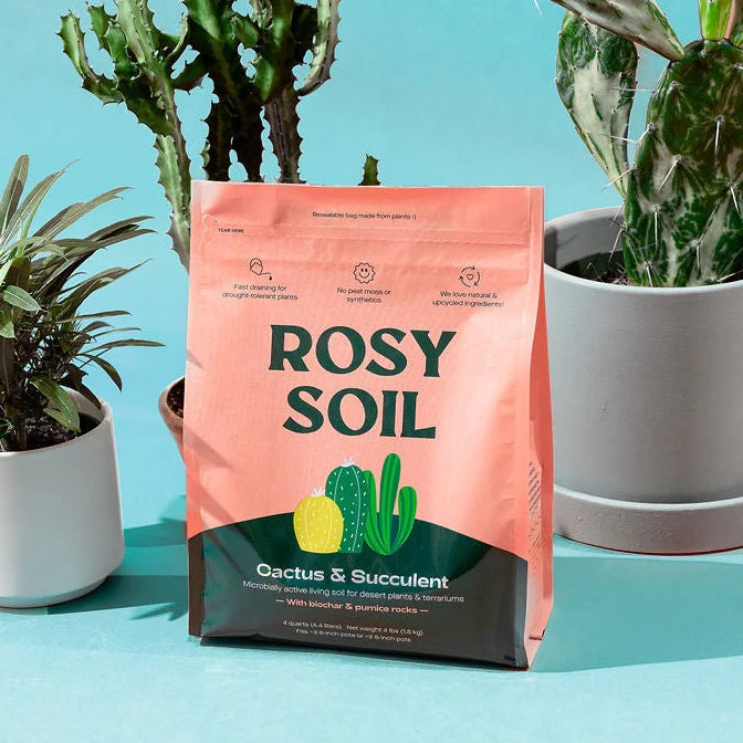 Rosy Soil Cactus & Succulent Blend