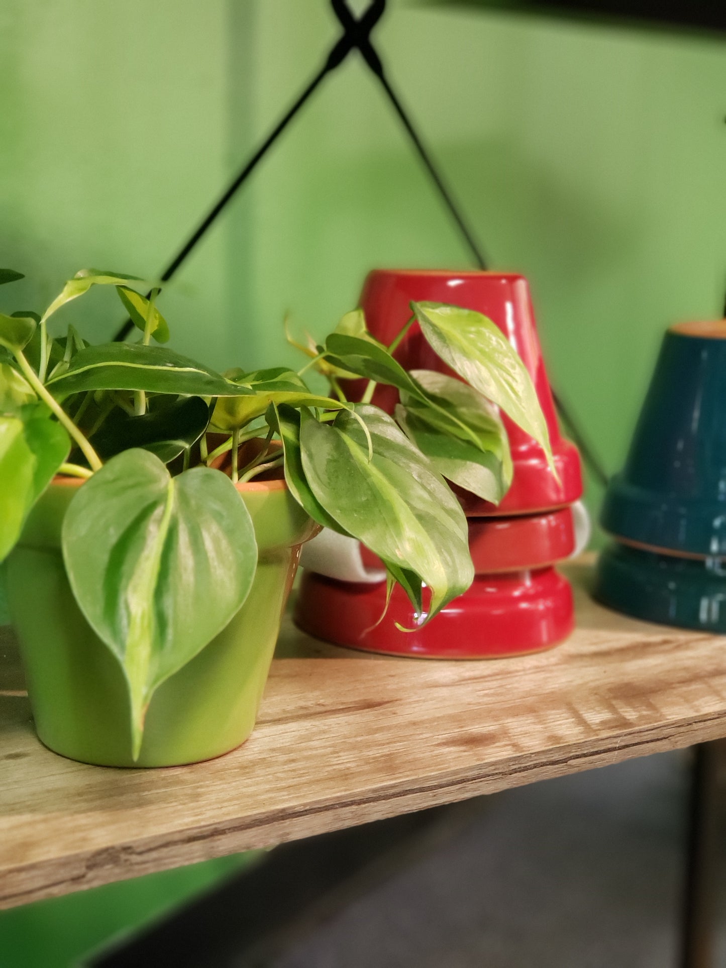 Terracotta Clay Plant Pot