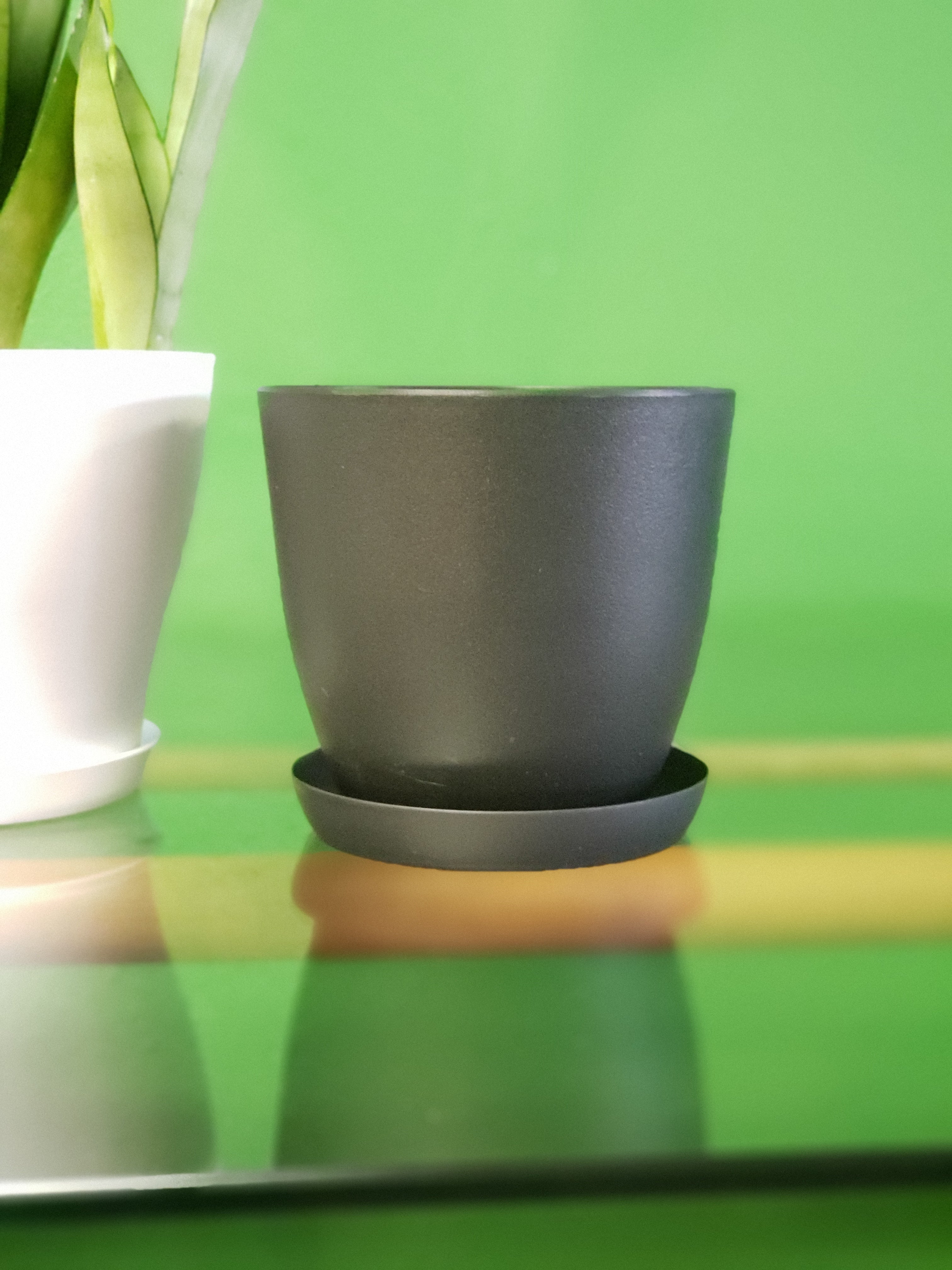 plastic plant pot with drainage holes Plastic Pot with Drainage – Plants and Things LLC