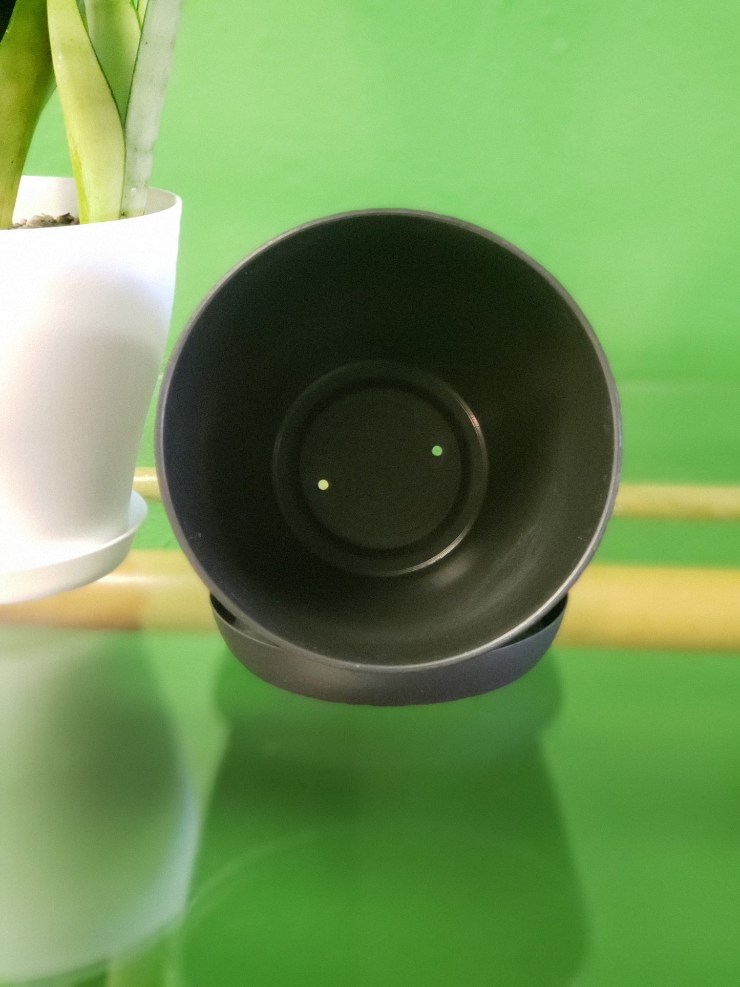 Plastic Pot with Drainage