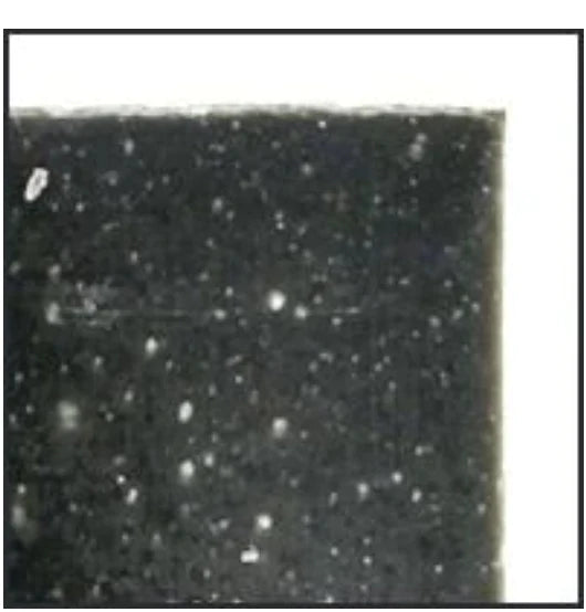 Charcoal Orange Tea Tree Soap Cleanser
