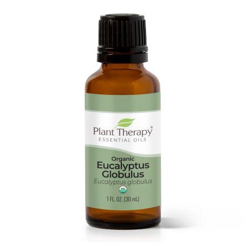 Organic Eucalyptus Globulus Essential Oil