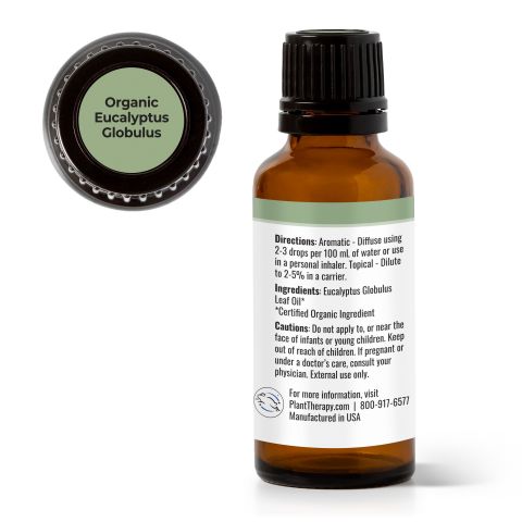 Organic Eucalyptus Globulus Essential Oil