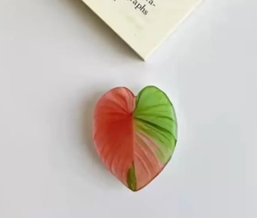 Plant Popsocket phone holder