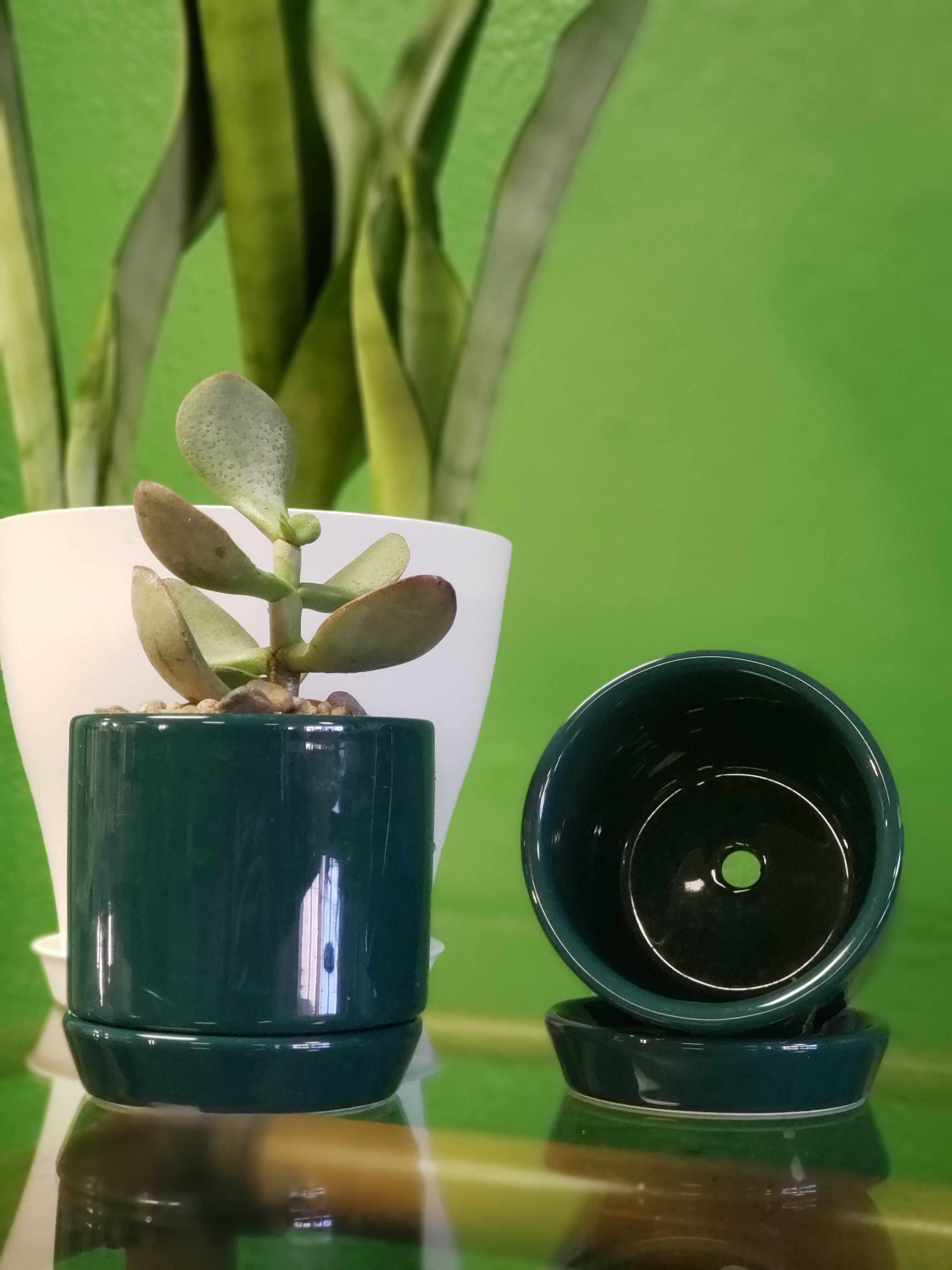 small teal plant pot Teal Ceramic Pot
