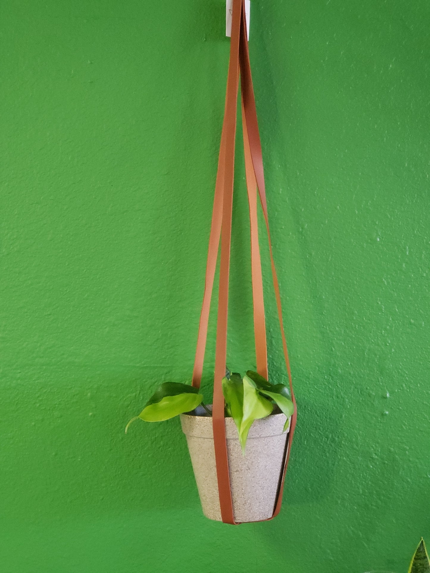 Vegan Leather Plant Hanger