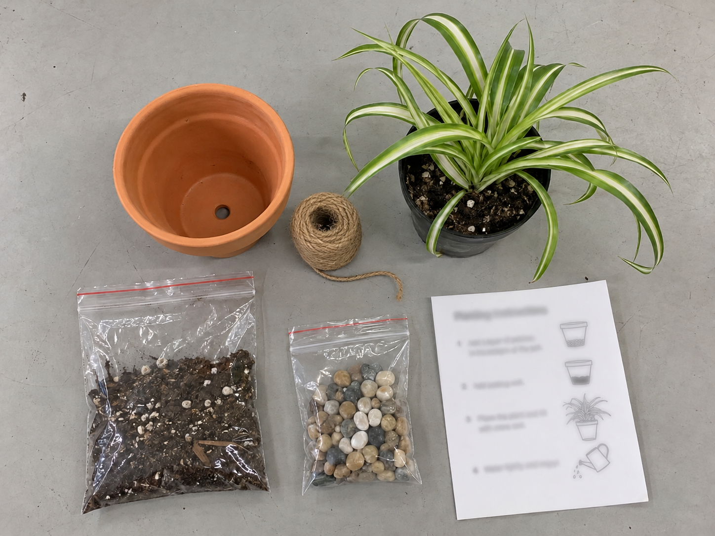 Illustrative plant kit with a pot, plant, twine, soil, stones, and instructions