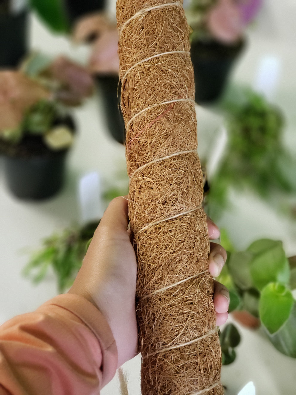 Plants And Things LLC Plants and things llc