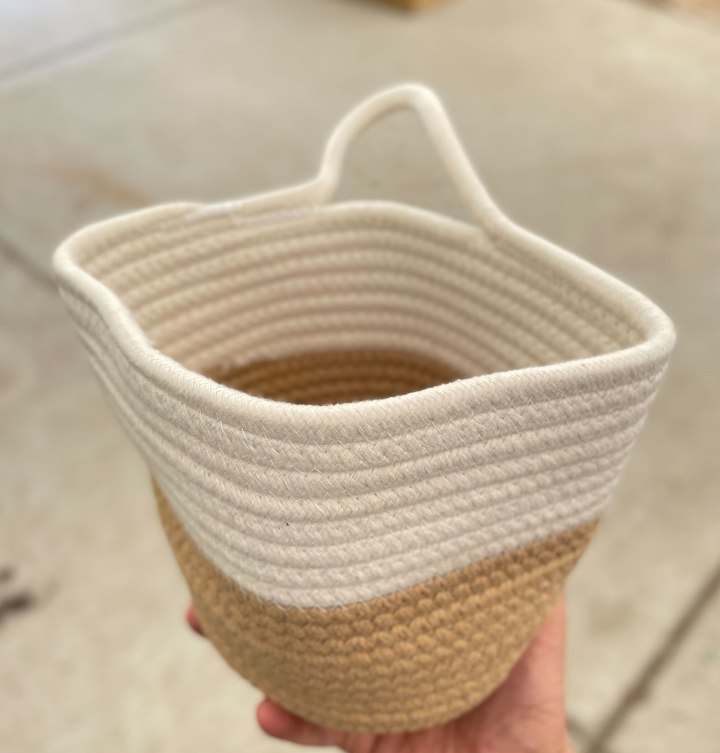 Basket Planter 6"