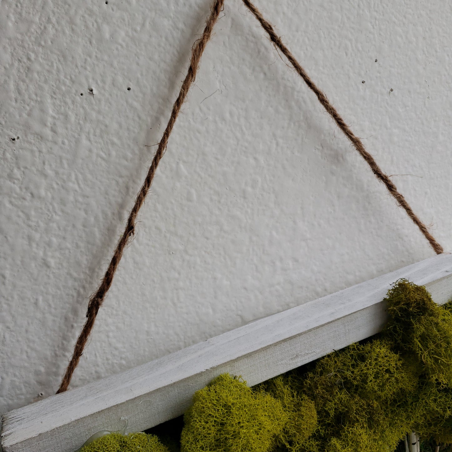 Moss Frame Art