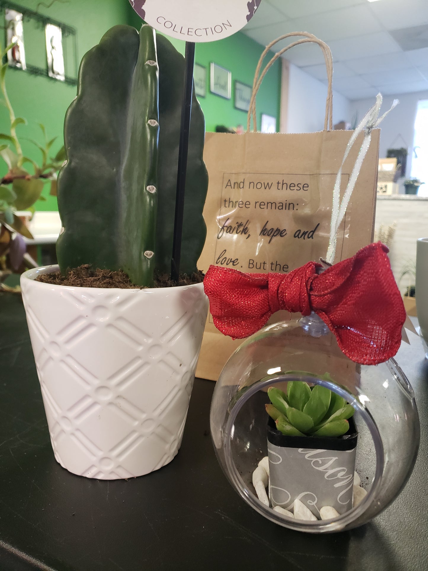 Cuddle Cactus