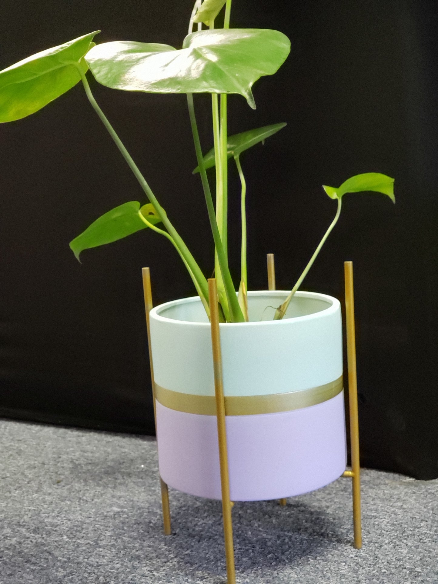 Modernist Planter w/ Gold Pedestal