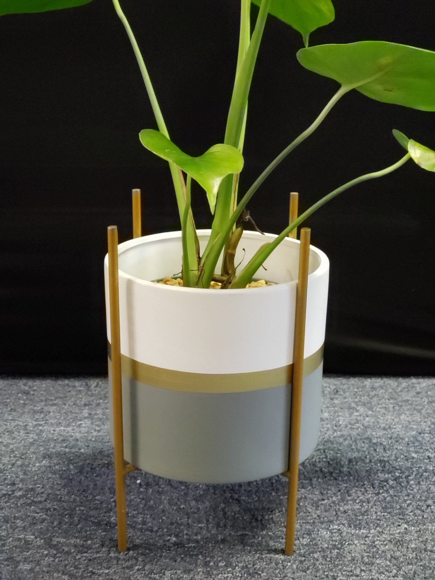 Modernist Planter w/ Gold Pedestal