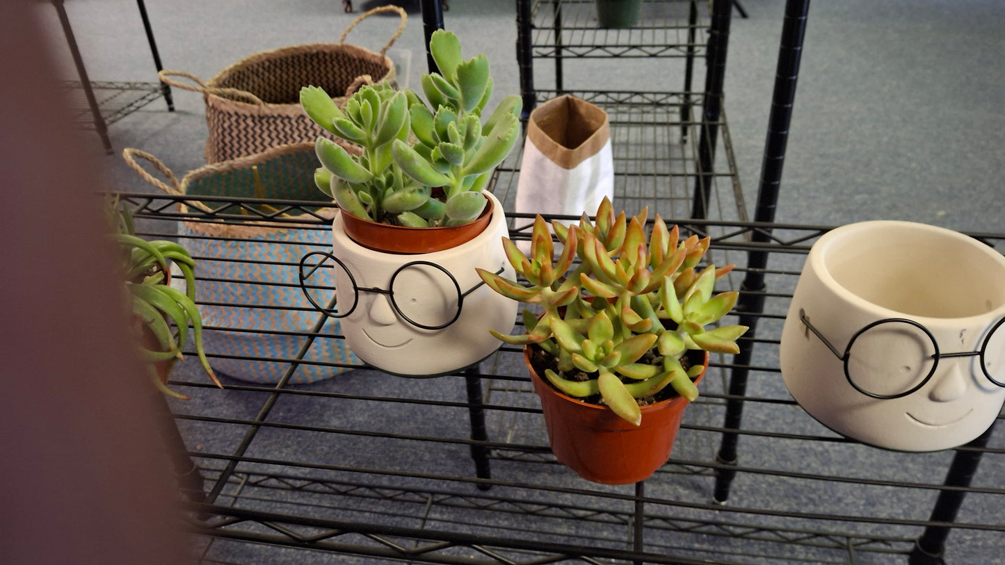 Poindexter Plant Pot