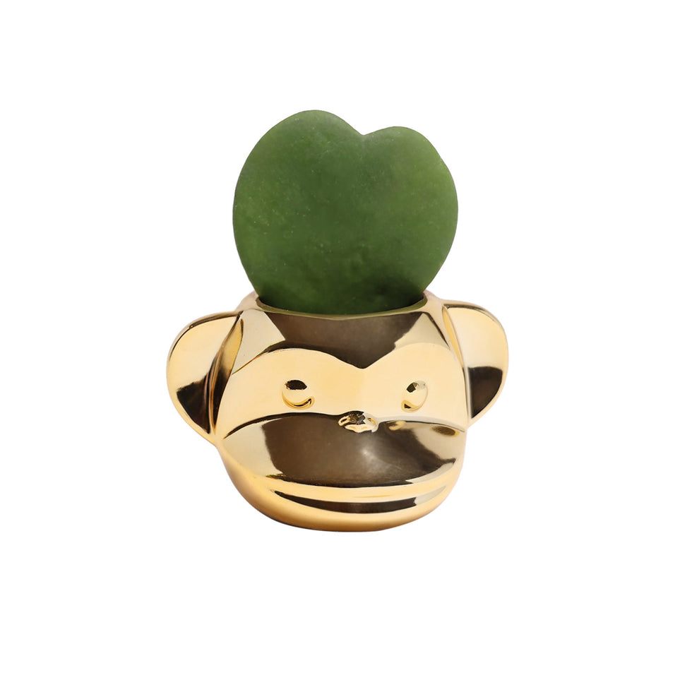 Funky Monkey Planter- New!