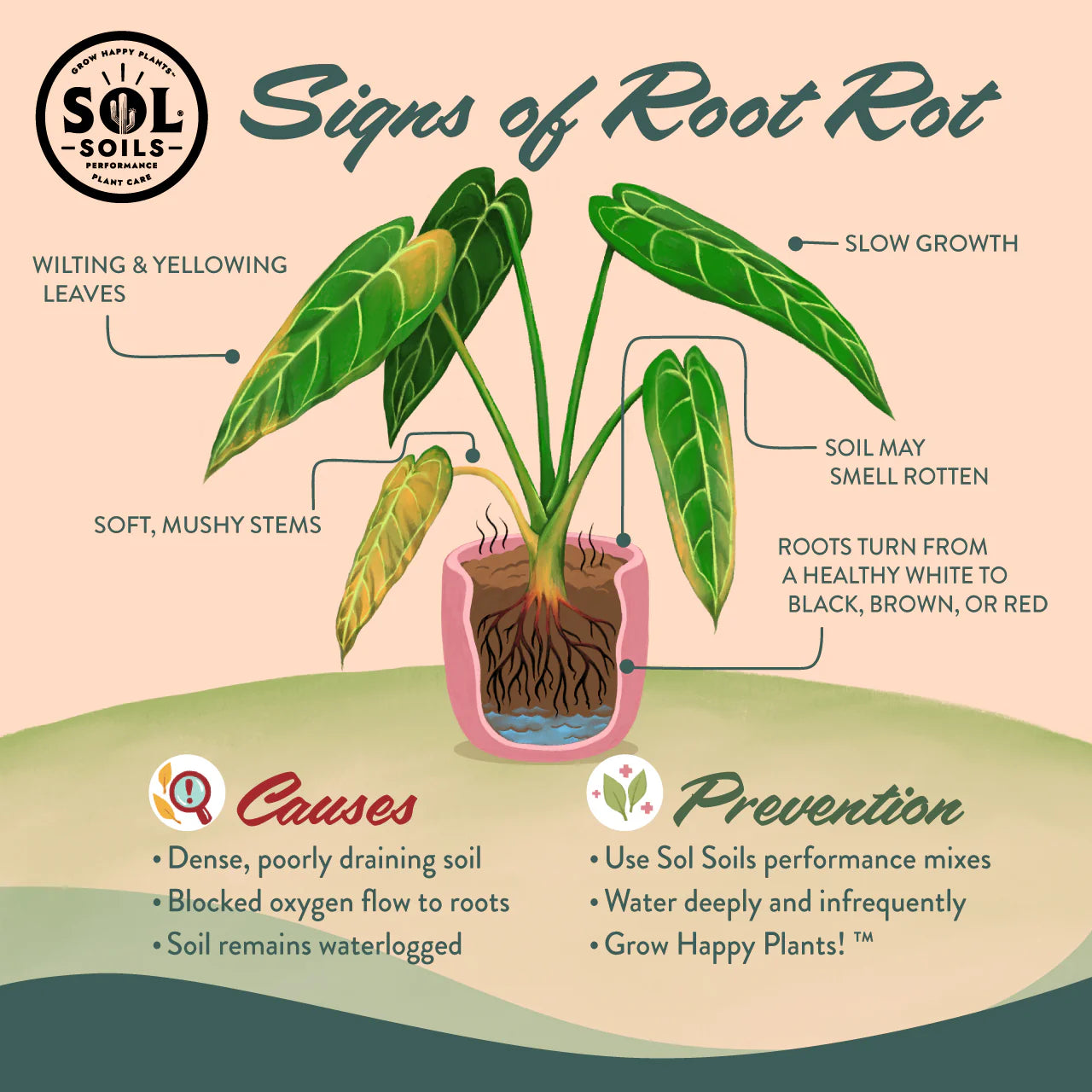 Sol Soil Houseplant Chunky Mix- COMING SOON