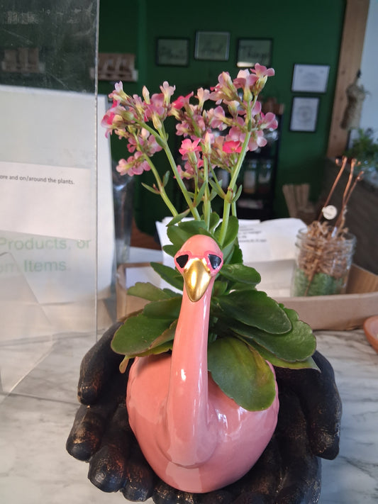 Flamingo planter