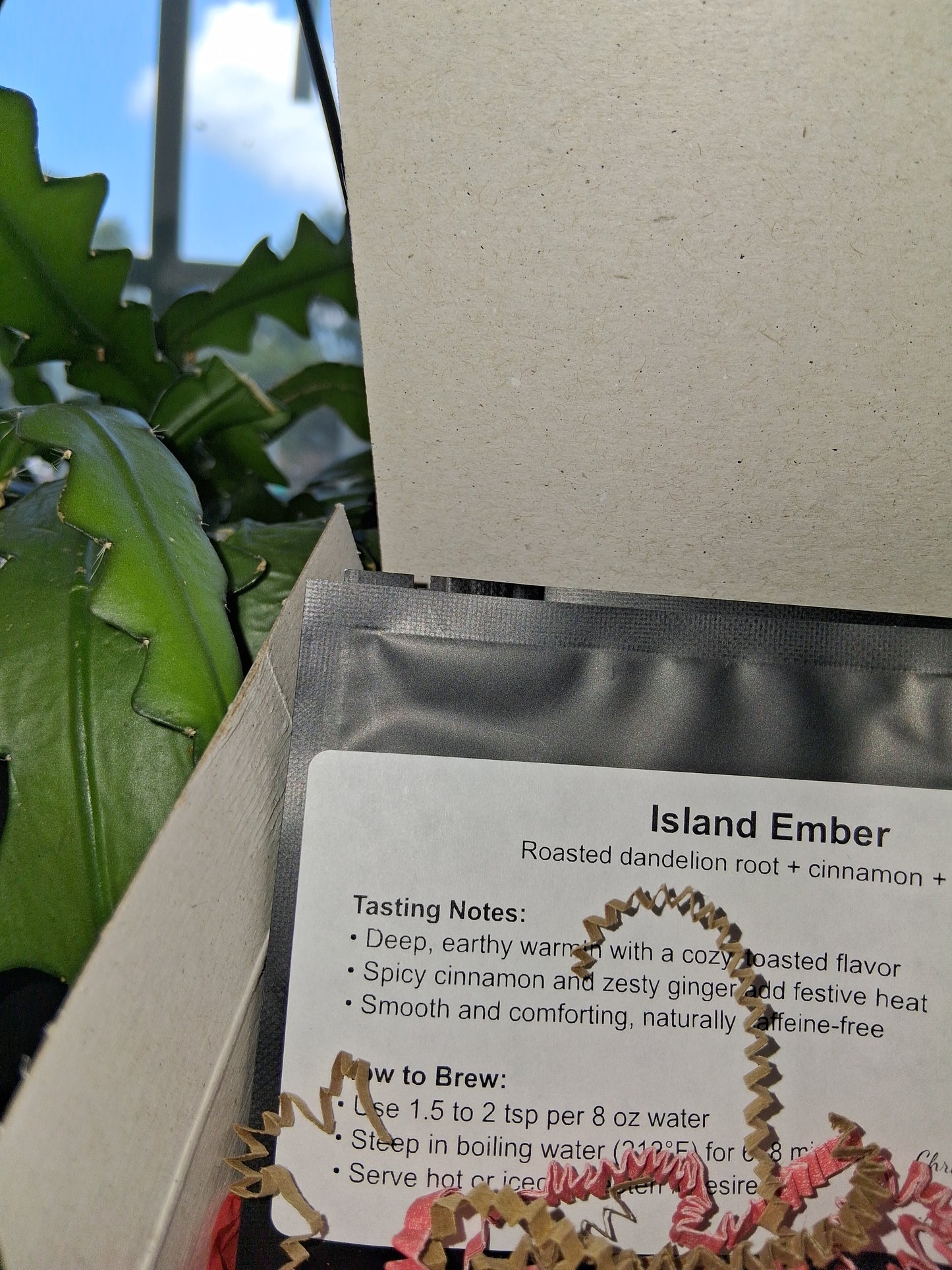 Tropical Holiday Tea Box-Christmas In July