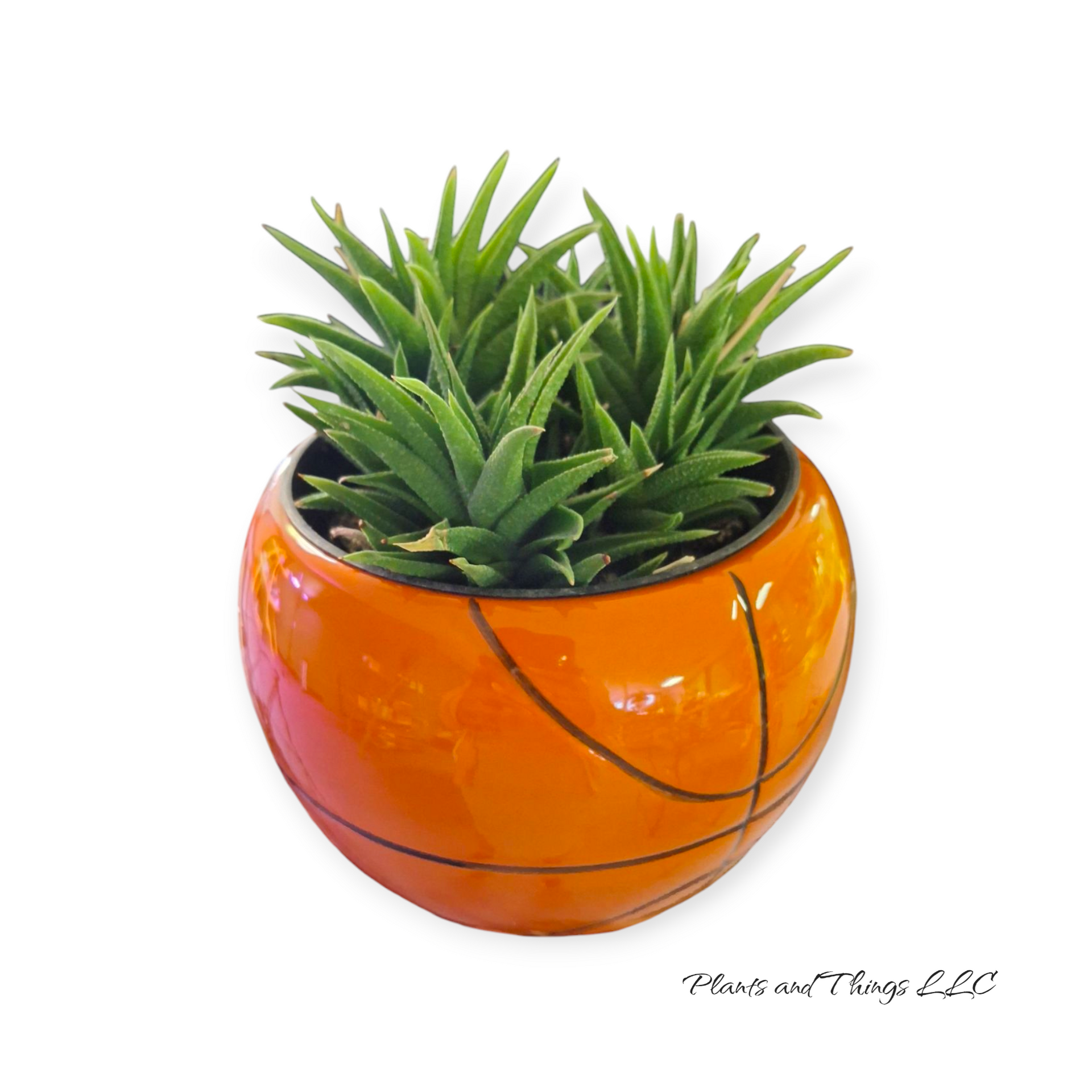 Basketball Planter- New! – Plants and Things LLC